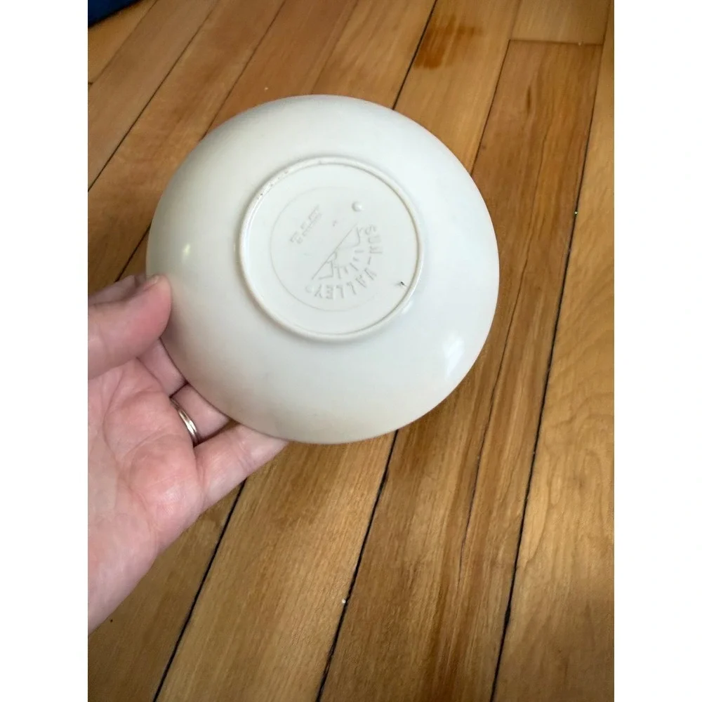 Vintage Disney Donald Duck band Sun Valley Melmac 5.5 in‎ small bowl collectible